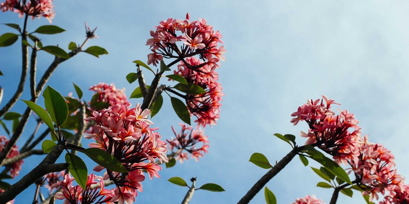 Why 24% of Women Learn AboutPerimenopause From Social Media